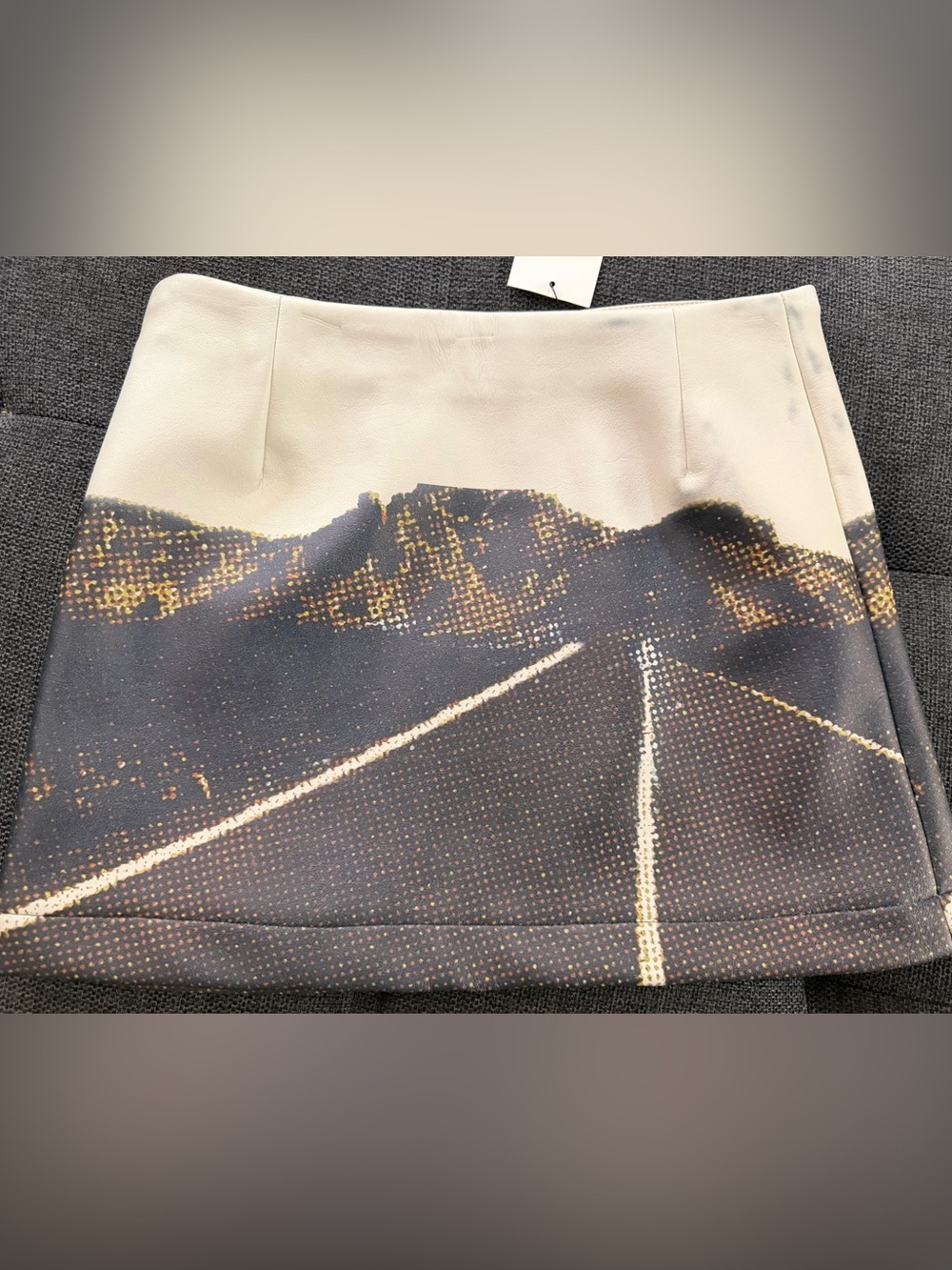 Fiorucci Milano Leathet Graphic Scenic Print Skirt in Cream and Navy - Picture 2 of 6